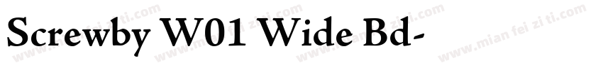 Screwby W01 Wide Bd字体转换
